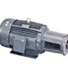 Hydraulic Long Coupling Horizontal Motor (HSWG)